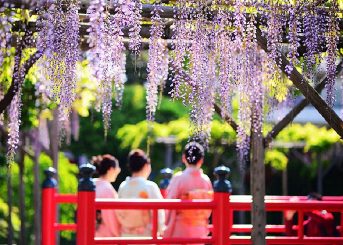 Du Lịch Nhật Bản: HCM - Osaka - Núi Phú Sĩ - Hakone - Nagoza - Nara 5N Bay Jetstar Pacific