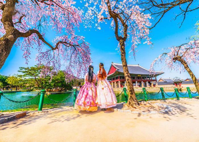 Du Lịch Hàn Quốc: Đà Nẵng - Seoul - Jeju - Đảo Nami 6N 