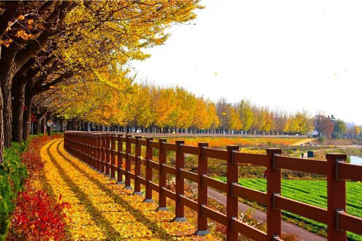 Du lịch Hàn Quốc: Hải Phòng - Hà Nội - Seoul - Nami - Everland 5 Ngày Bay VietJet Air