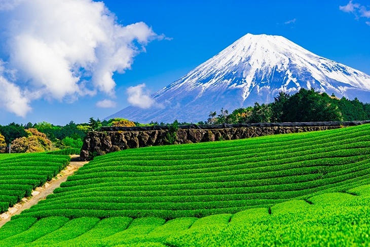 Du Lịch Nhật Bản: Hải Phòng - Hà Nội - Tokyo - Hakone - Núi Phú Sỹ 5 Ngày Bay 5 Sao
