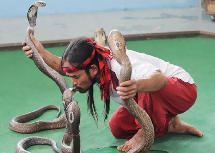 Du Lịch Thái Lan: HCM - Bangkok - Pattaya - Vườn Thú Hoang Dã Safari World - Chùa Phật Lớn, Tặng Massage Thái