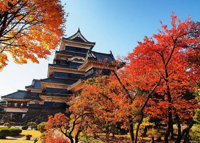 Du Lịch Nhật Bản: HCM - Tokyo - Yamanashi - Fuji 4N, Bay All Nippon Airways
