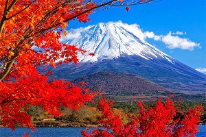 Du Lịch Nhật Bản: HCM - Tokyo - Yamanashi - Phú Sĩ Cảnh Sắc Mùa Thu 5N4Đ Bay VJ