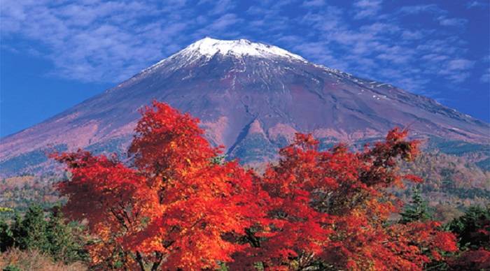 Du Lịch Nhật Bản: HCM - Tokyo - Yamanashi - Phú Sĩ Cảnh Sắc Mùa Thu 5N4Đ Bay VJ