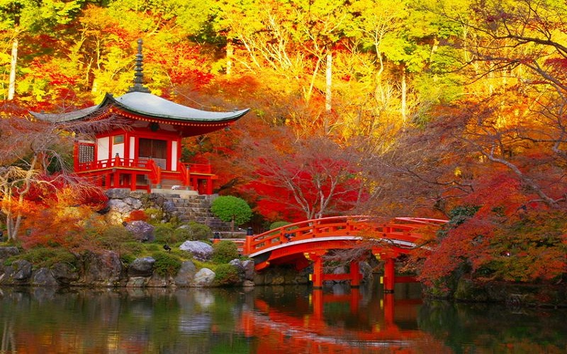 Du Lịch Nhật Bản: HCM - Yamanashi - Tokyo - Nikko - Edo Wonderland Bay All Nippon Airways 5*
