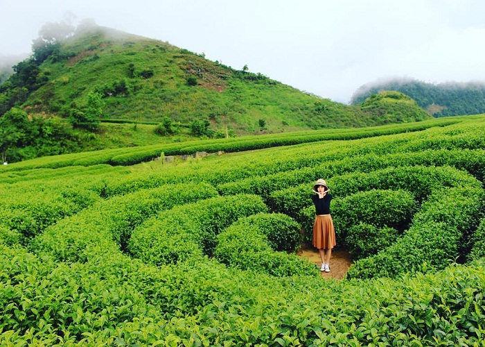 Du Lịch Miền Bắc: Hà Nội - Mai Châu - Mộc Châu - Điện Biên - Lai Châu- Sapa 4 Ngày + Xe Ôtô