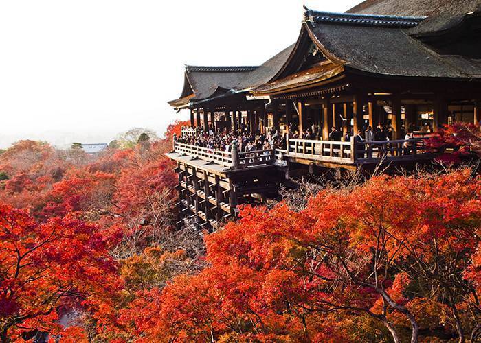 Du Lịch Nhật Bản: HCM - Tokyo - Yamanashi - Toyohashi - Kyoto - Osaka 5N Bay Japan Airlines