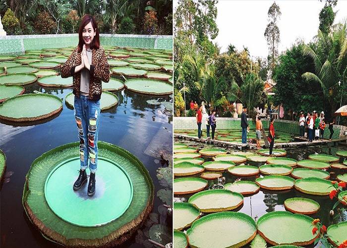 Du Lịch Miền Tây: Sài Gòn - Đồng Tháp - Chùa Lá Sen - Xẻo Quýt 1 Ngày