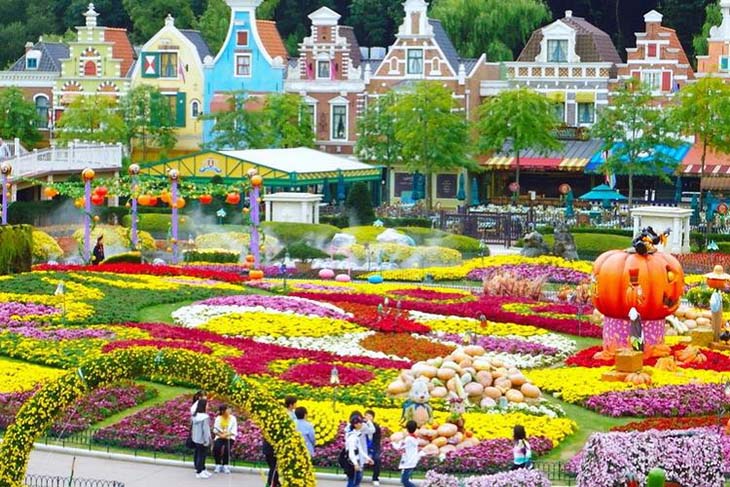 Hà Nội - Hàn Quốc: Seoul - Đảo Nami - Công Viên Everland 5 Ngày Bay T’way Air 