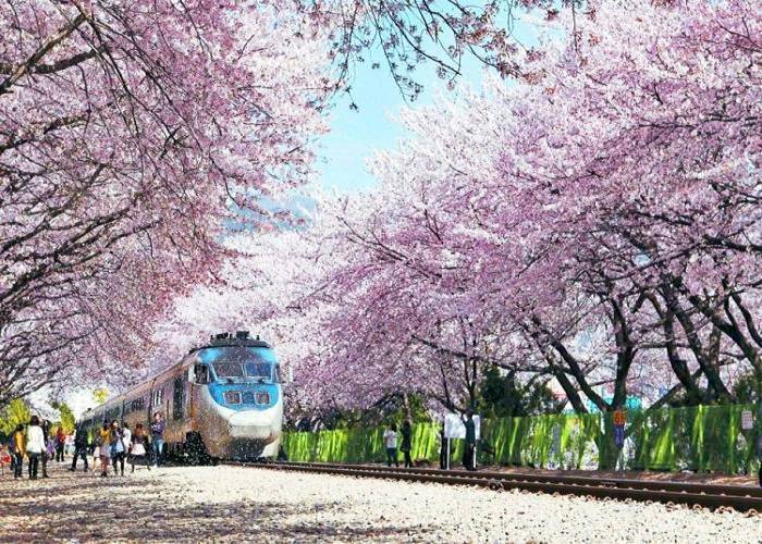 Du Lịch Nhật Bản : HCM - Tokyo - Fuji - Yamanashi 4N Bay VNA/NH