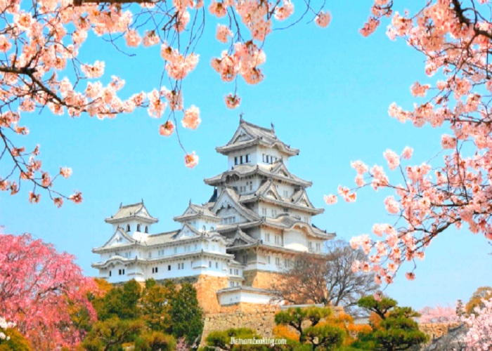 Du Lịch Nhật Bản: Huế - Đà Nẵng - Tokyo - Núi Phú Sỹ 5 Ngày Bay VJ