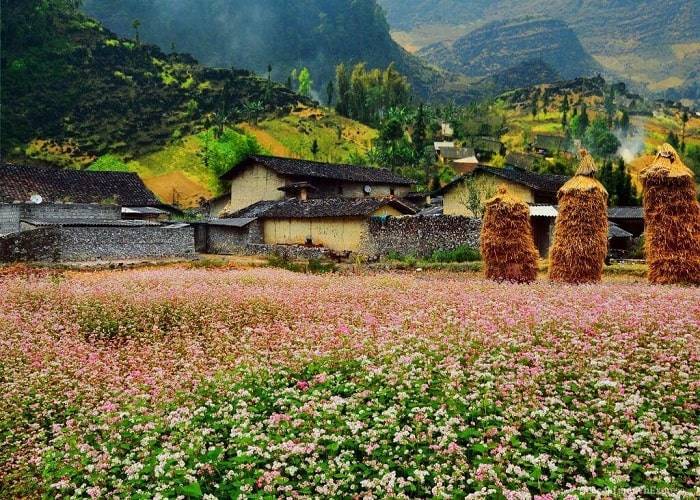 Du Lịch Đông Bắc: Hà Nội - Cao Nguyên Đá - Pác Bó - Thác Bản Giốc - Động Ngườm Ngao 4 Ngày + Xe Ôtô