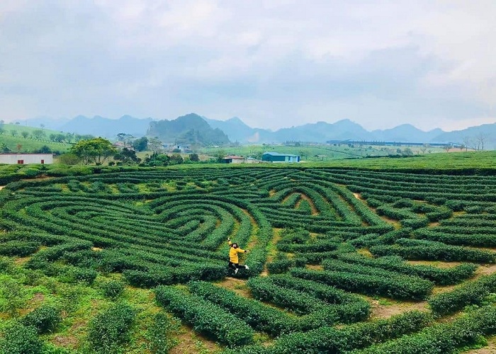 Du Lịch Tây Bắc: Hà Nội - Mai Châu - Mộc Châu - Điện Biên - Lai Châu - Sapa 4 Ngày 