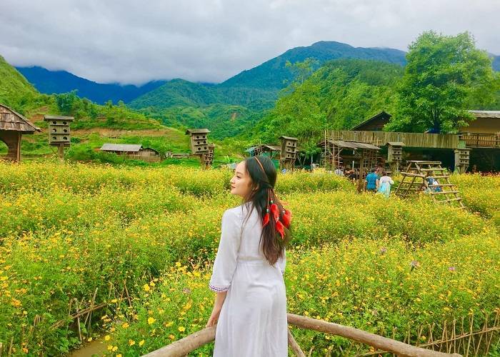 Đà Nẵng - Hà Nội - Sapa - Hàm Rồng - Thác Bạc - Bản Cát Cát 3N2Đ, VMB + Xe Ôtô