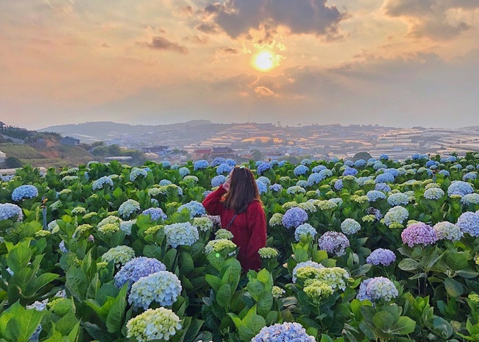Du lịch Đà Lạt: Sài Gòn - Đà lạt - Kombi Land 4 Ngày