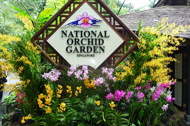 Hà Nội - Singapore - Sentosa - Garden By The Bay 5 Ngày 4 Đêm Bay Vietjet Air