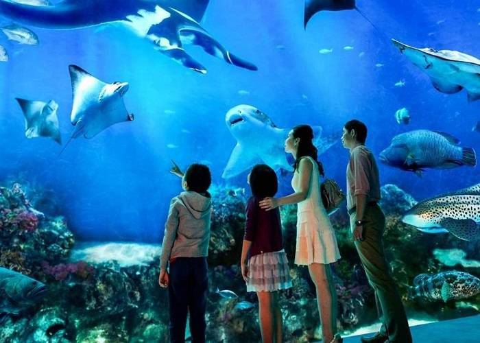 HCM - Singapore - City Tour 3N2Đ + Bay Vietjet Air