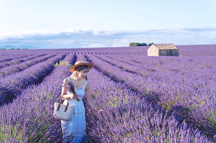 Du Lịch Châu Âu: Hà Nội - Miền nam nước Pháp - Monaco - Làng oải hương Valensole - Interlaken - Thuỵ Sĩ  - Ý - Vatican 12 Ngày Bay Turkish Airlines 