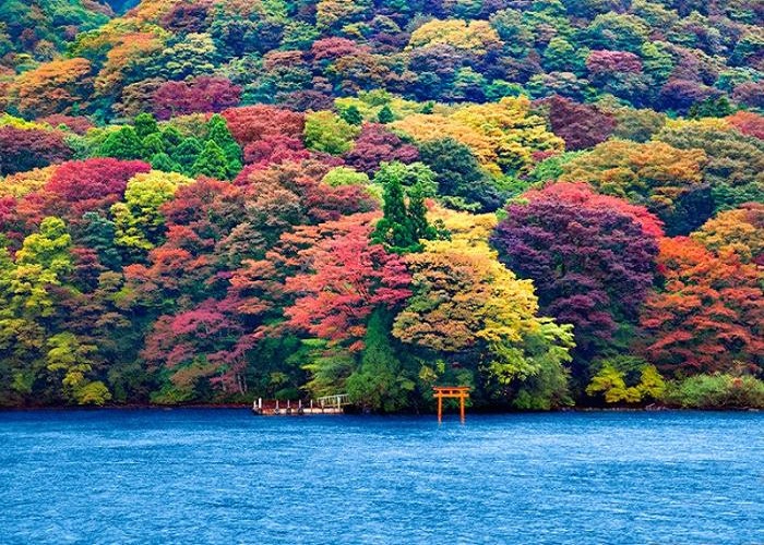 Du Lịch Nhật Bản: HCM - Narita - Tokyo - Yamanashi - Ibaraki 5 Ngày, VMB + KS 3*