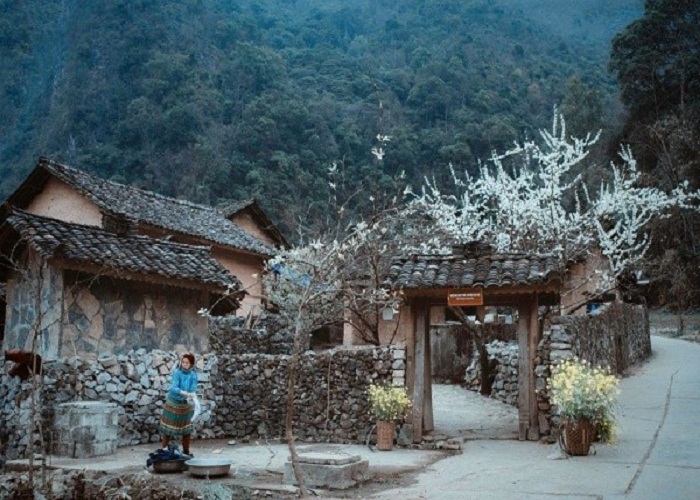 Du Lịch Hà Giang: Đà Nẵng - Hà Giang - Cao Nguyên Đá Đồng Văn 3 Ngày