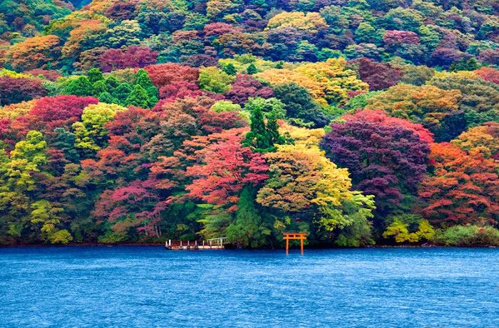 Du Lịch Nhật Bản: HCM - Yamanashi - Tokyo - Nikko - Edo Wonderland Bay All Nippon Airways 5*