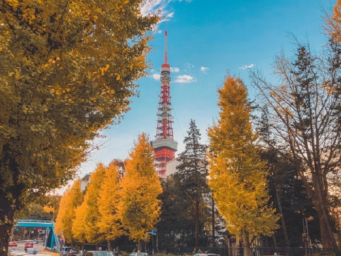 Du Lịch Nhật Bản: HCM - Yamanashi - Tokyo - Nikko - Edo Wonderland Bay All Nippon Airways 5*