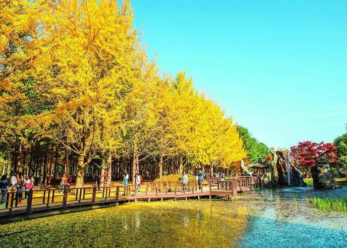 Du Lịch Hàn Quốc: HCM - Seoul - Trượt Tuyết Elysian - Show Painter 5 Ngày, Bay Vietjet Air + KS 5*