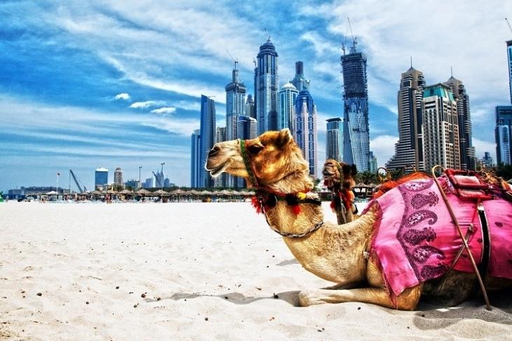 Du Lịch Dubai: Hà Nội - Dubai - Sharjah - Abu Dhabi 6 Ngày Bay Emirate Airlines 5 Sao
