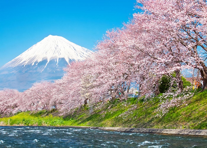 Du Lịch Nhật Bản: HCM - Yamanashi - Owakudani - Fuji - Tokyo 5 Ngày Bay All Nippon