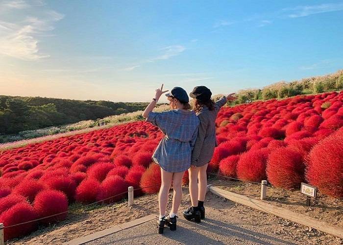 Du Lịch Nhật Bản: Đà Nẵng - Tokyo - Núi Phú Sĩ - Ibaraki 5 Ngày, Bay Vietnam Airlines + KS 3,4*