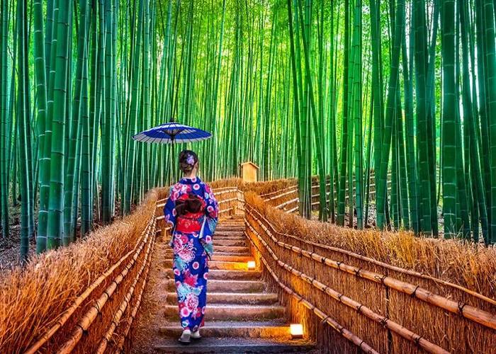 Du Lịch Nhật Bản: HCM - Yamanashi - Tokyo - Nikko - Edo Wonderland Bay All Nippon Airways 5*