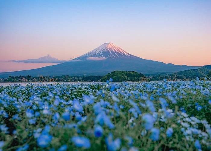 Tour Mùa Hè Nhật Bản: HCM - Chiba - Yamanashi - Fuji - Tokyo - Narita 5 Ngày, Bay Vietnam Airlines + KS 3,4*
