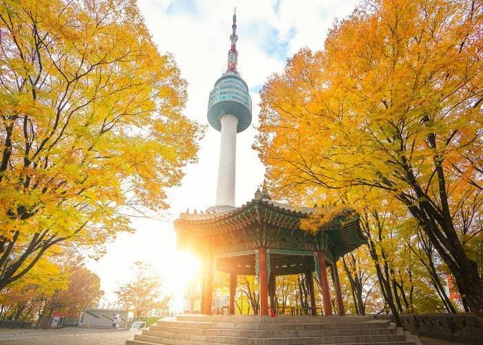 Du Lịch Hàn Quốc: HCM - Seoul - Everland - Nami - Morning Calm 5 Ngày, Bay Vietjet Air + KS 3, 4*