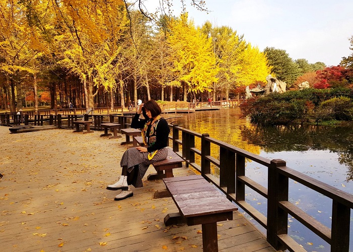 Du Lịch Hàn Quốc: HCM - Seoul - Nami - Lotte Aquarium 5 Ngày, Bay Tway Air + KS 3, 4*