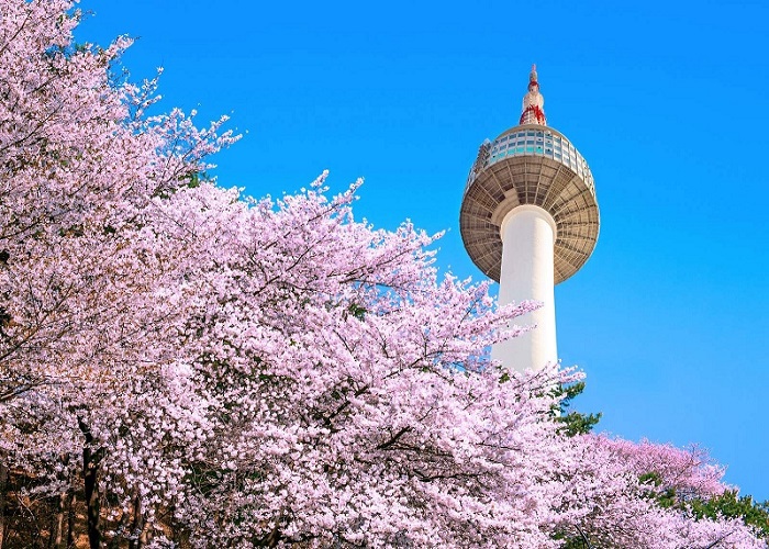 Du Lịch Hàn Quốc Mùa Hoa Anh Đào: HCM - Seoul - Nami - Youido Park - Everland - Show Painter 5 Ngày, Bay Vietjet Air + KS 4, 5*