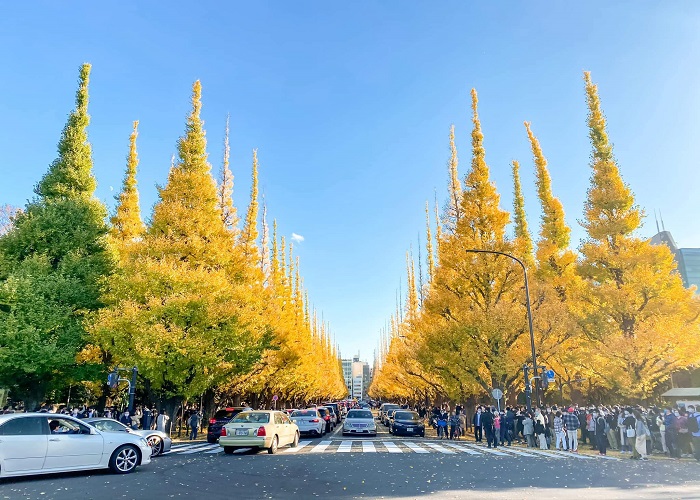 Du Lịch Nhật Bản Cung Đường Vàng: HCM - Kobe - Osaka - Kyoto - Nagoya - Yamanashi - Tokyo 6 Ngày, Bay Vietnam Airlines + KS 3, 4*