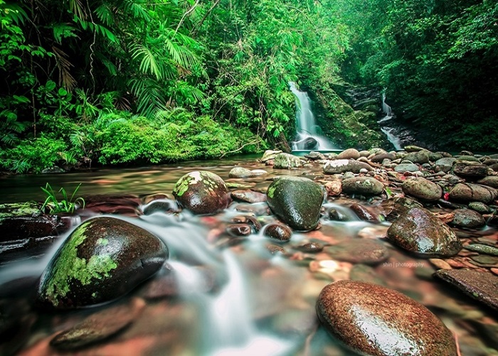 Tour Treking Bạch Mã: Đà Nẵng - Bạch Mã 1 Ngày, Xe Ô tô