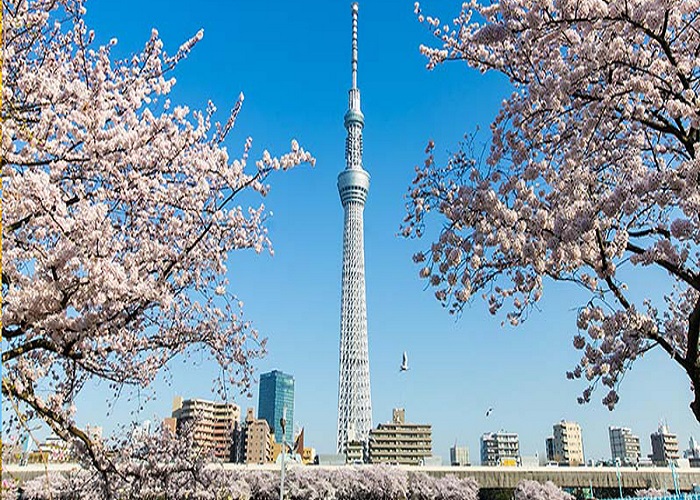 Du Lịch Nhật Bản: HCM - Osaka - Kobe - Kyoto - Fuji - Tokyo 6 Ngày, Bay Vietnam Airlines + KS 3, 4*