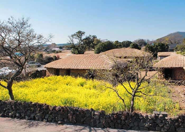 Du Lịch Hàn Quốc Tết 2024: HCM - Seoul - Đảo Jeju - Trượt tuyết - Sauna 6 Ngày, Bay hàng không 5* Asiana Airlines + KS 4*