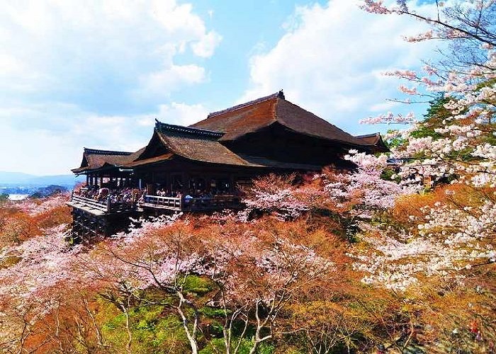 Du Lịch Nhật Bản: HCM - Kobe - Osaka - Kyoto - Nagoya - Yamanashi - Tokyo 6 Ngày, Cung Đường Vàng, Khám Phá Hoa Anh Đào, Bay Vietnam Airlines + KS 4*