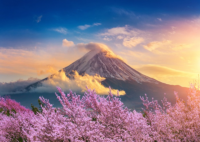 Du Lịch Nhật Bản: HCM - Kobe - Osaka - Kyoto - Nagoya - Shizuoka - Yamanashi - Tokyo 7 Ngày, Cung Đường Vàng - Mùa Hoa Anh Đào, Bay Vietnam Airlines + KS 4*