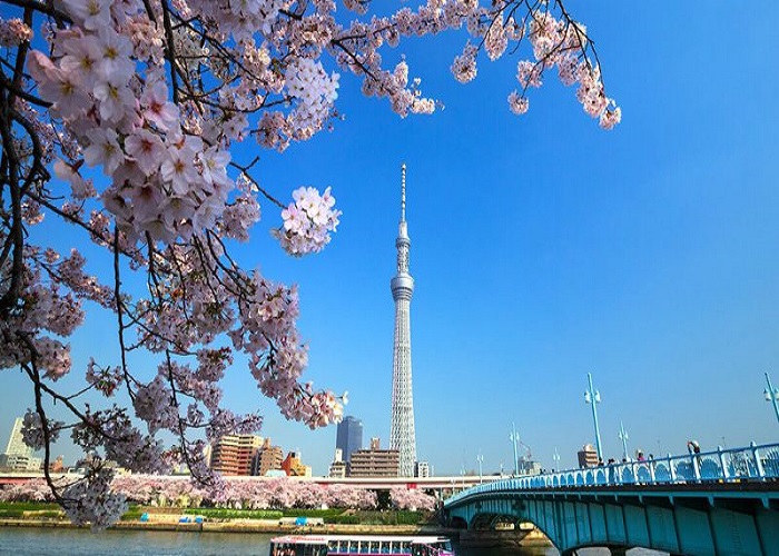 Du Lịch Nhật Bản: HCM - Kobe - Osaka - Kyoto - Nagoya - Shizuoka - Yamanashi - Tokyo 7 Ngày, Cung Đường Vàng - Mùa Hoa Anh Đào, Bay Vietnam Airlines + KS 4*
