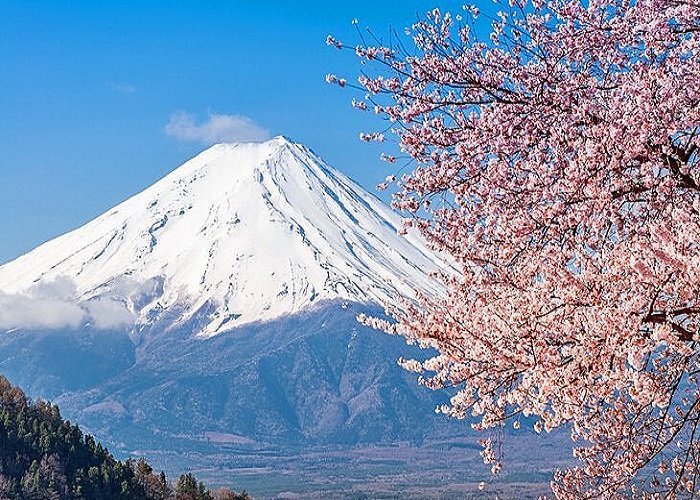 Du Lịch Nhật Bản: HCM - Tokyo - Yamanashi - Fuji - Kyoto - Osaka - Kobe 6 Ngày, Rực Rỡ Sắc Hoa Anh Đào