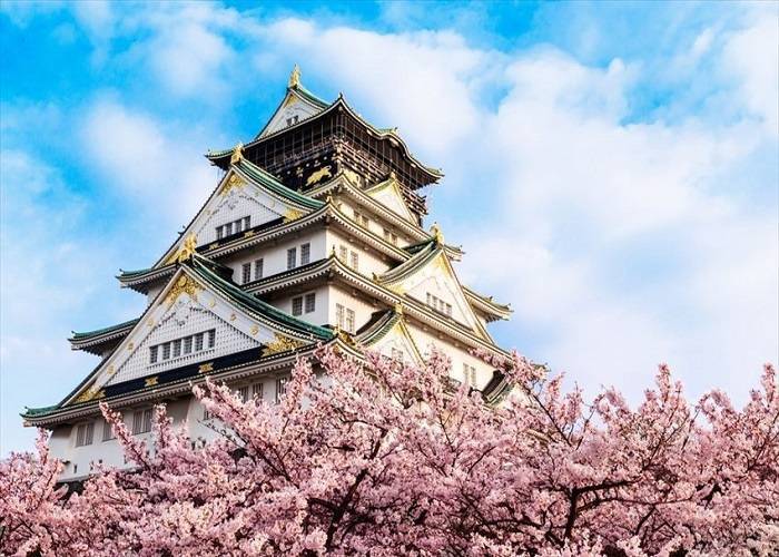 Du Lịch Nhật Bản Mùa Hoa Tử Đằng: HCM - Tokyo - Phú Sĩ - Nagoya - Kyoto - Kansai 6 Ngày, Bay Vietjet Air + KS 3,4*