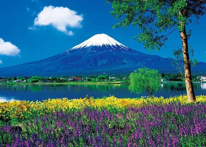 Du Lịch Nhật Bản Cung Đường Vàng Mùa Hoa Anh Đào: HCM - Tokyo - Fuji - Nagoya - Kyoto - Kansai 6 Ngày, Bay Vietjet Air + KS 3,4*