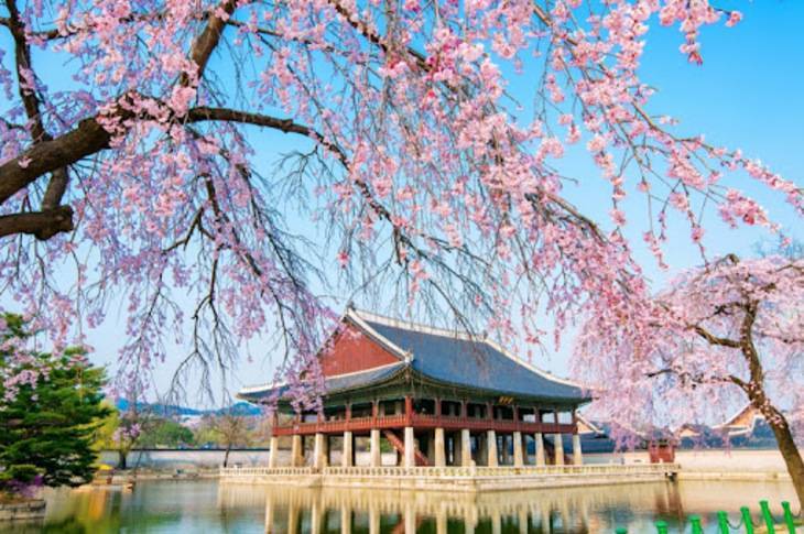 Du Lịch Hàn Quốc: Hà Nội - Seoul - Nami - Everland - Công Viên Yeouido - Rừng Seoul 5 Ngày Bay Vietnam Airlines
