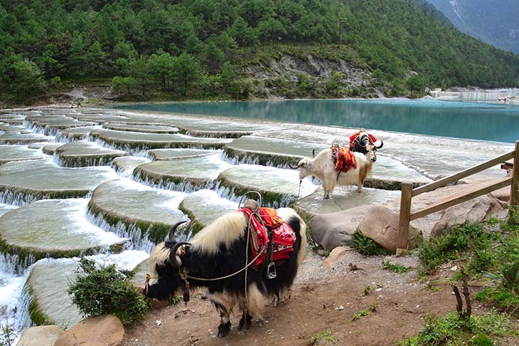 Du Lịch Trung Quốc: Hà Nội - Lệ Giang - Shangrila 5 Ngày Bay Bamboo Airways