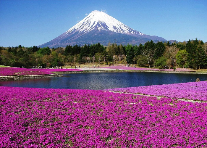 Du Lịch Nhật Bản Cung Đường Vàng: HCM - Kobe - Osaka - Kyoto - Nagoya - Yamanashi - Tokyo 6 Ngày, Bay Vietnam Airlines + KS 4*