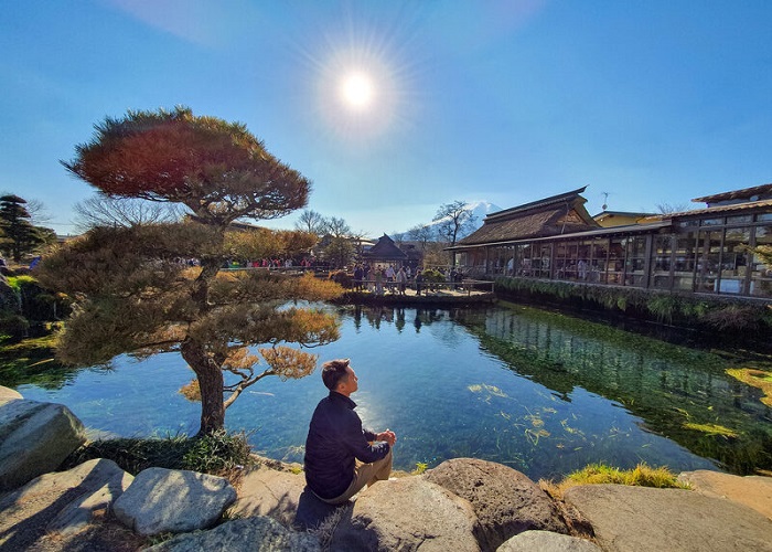 Du Lịch Nhật Bản lễ hội hoa tử đằng và hoa chi anh: HCM - Tokyo - Ashikaga - Fuji - Nagoya - Kyoto - Osaka 6 Ngày, KS 3-4*