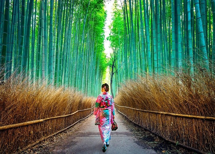 Tour Nhật Bản cung đường cổ tích: HCM - Kyoto - Shiga - Fukui - Kanazawa - Takayama - Nagoya - Nara 6 Ngày, Bay Vietjet Air + KS 3,4*